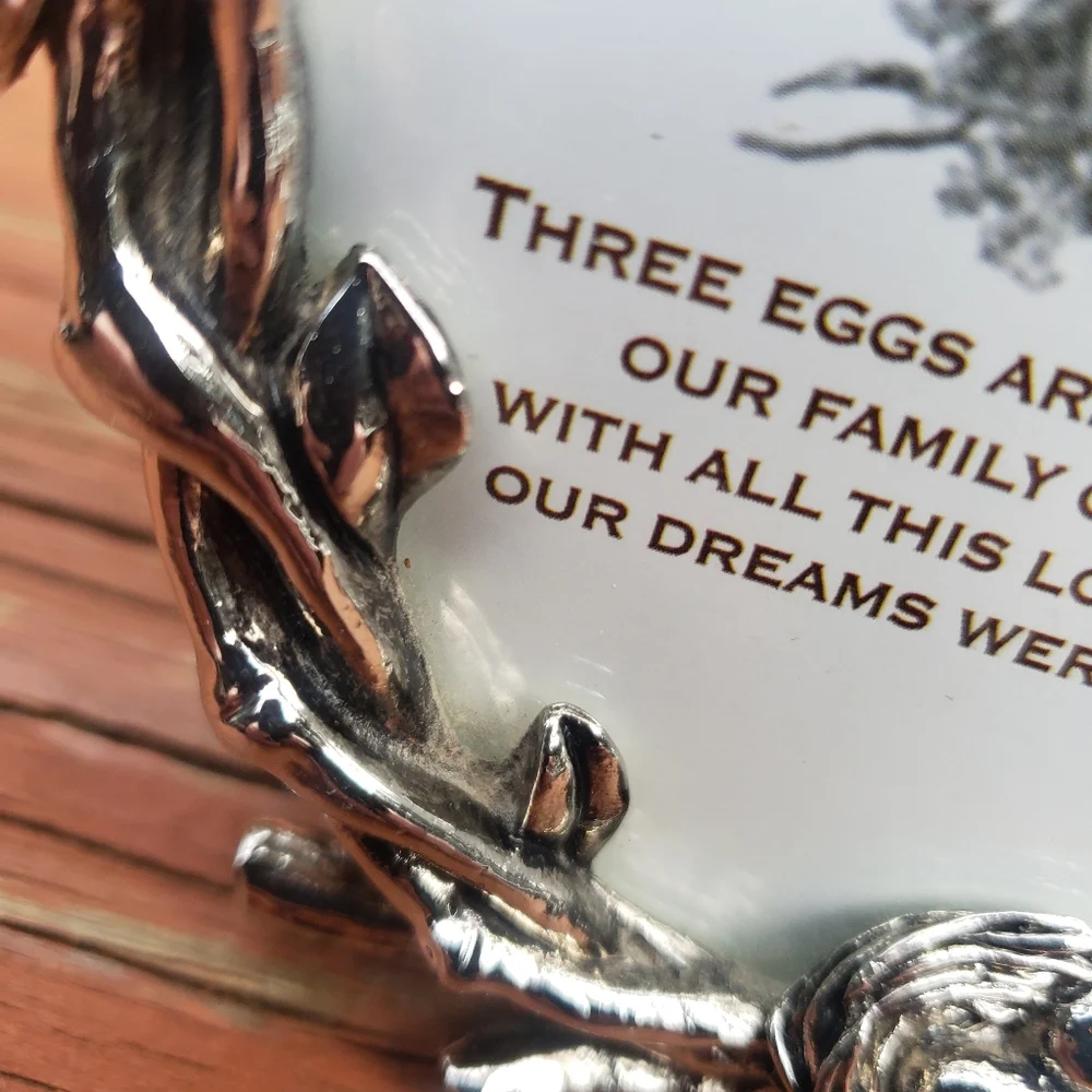 Bird Nest, Branches and Eggs Silver Picture Frame- Free Standing - 4.5